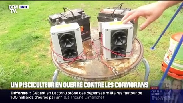 Un pisciculteur en guerre contre les cormorans