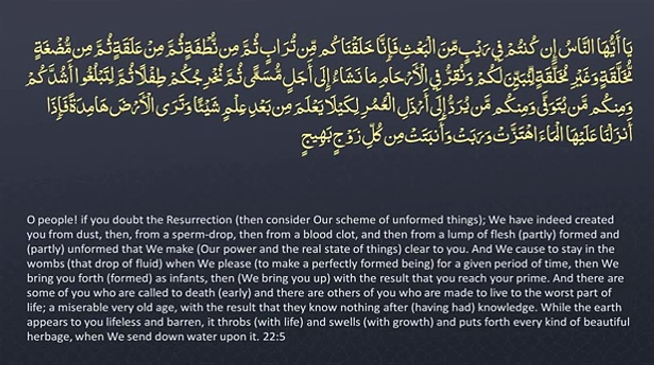 Surah 22 - Al-Hajj_ 🔊 ENGLISH ONLY Recitation with Arabic Subtitles. Night Mode (Dark Background) #islamicstatus #reels #foryou  #viralvideo #viral