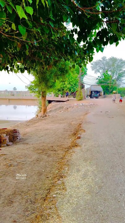 village Thank you for watching! #maxrecords #larkana #sindh