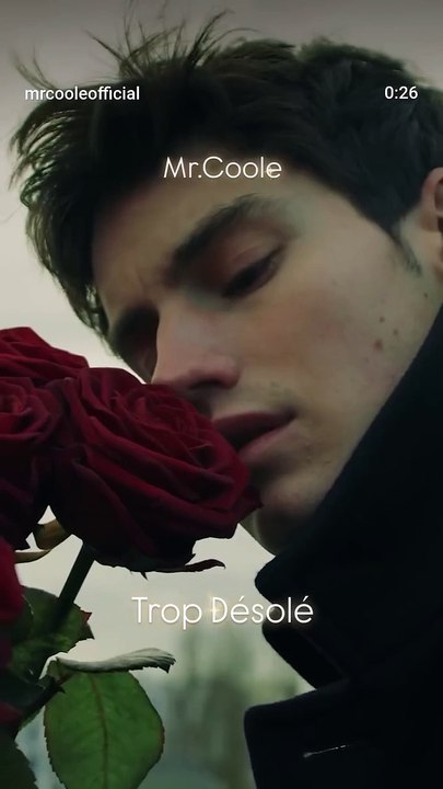 Trop Désolé