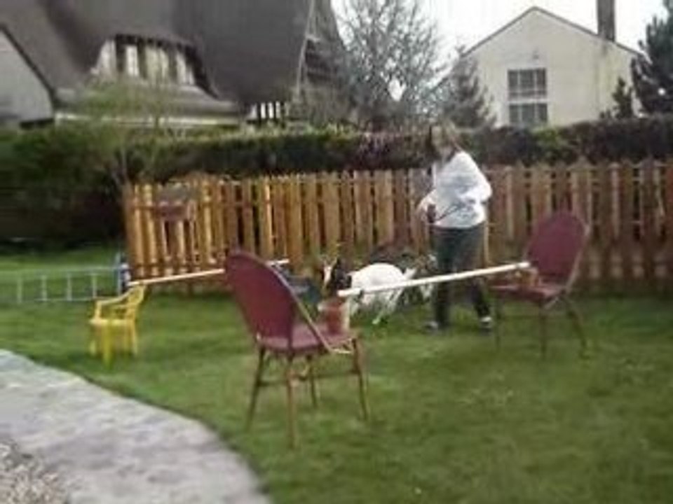 petit parcour avec fleur