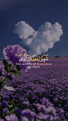 القرآن الکریم/Quran Kareem/Quran recitation