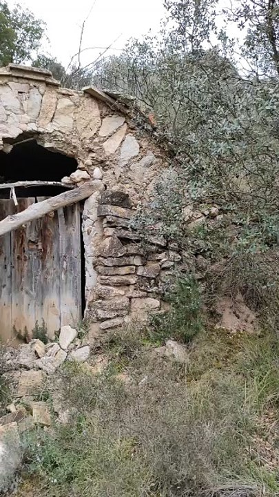 Cabana de volta en la Litera.