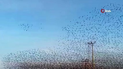 Gökyüzünde hayran bırakan dans!