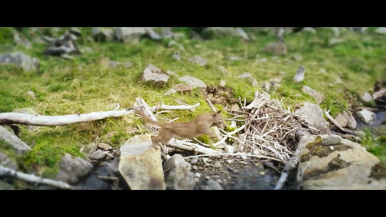 WOODWALKERS Film Clip - Carag verwandelt sich in einen Puma