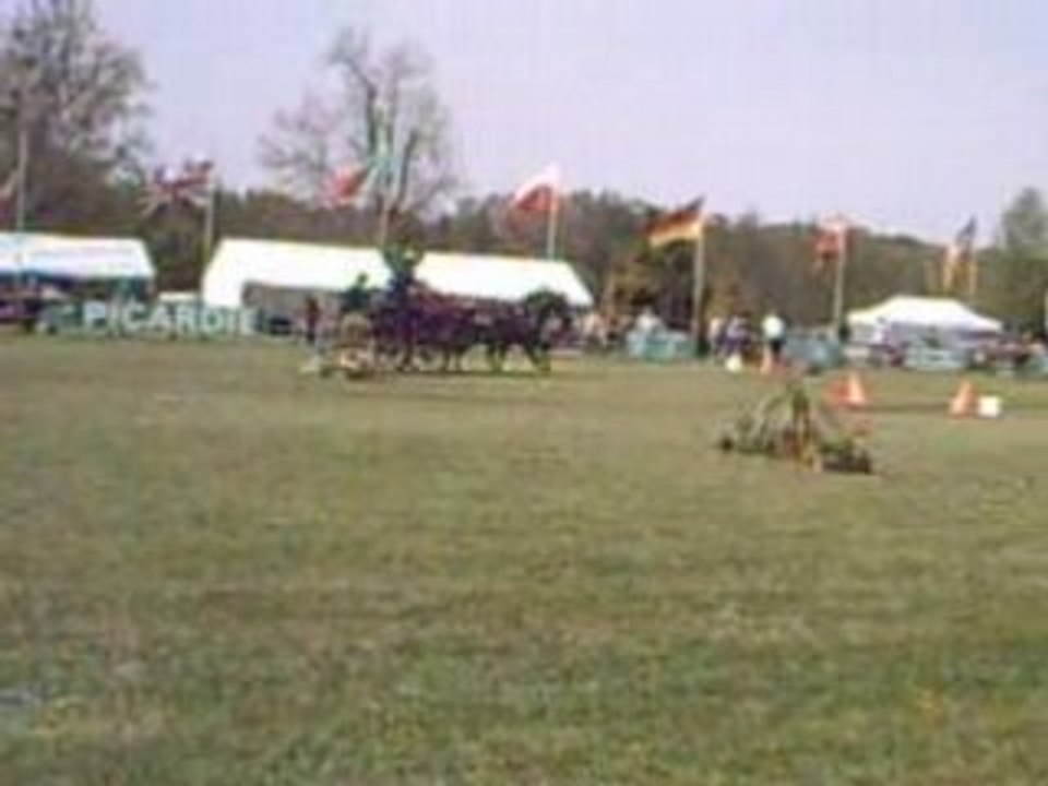 PICT0017