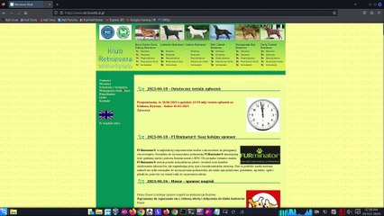 How to Find Vulnerabilities Using Burp Scanner | Burp Suite Professional Tutorial