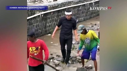 Detik-detik Dedi Mulyadi Nyebur ke Sungai Penuh Sampah