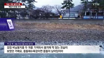 "한두 개쯤이야"...몽돌 반출에 남해 주민 '한숨' / YTN