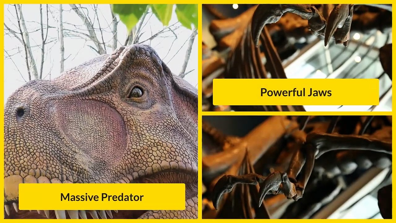 Why is T. rex always the star in movies