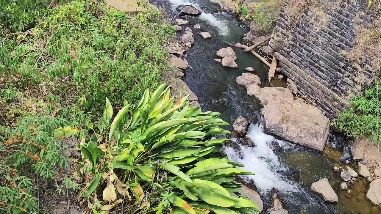 Munnar Kerala ka waterfall