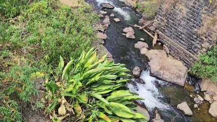 Munnar Kerala ka waterfall