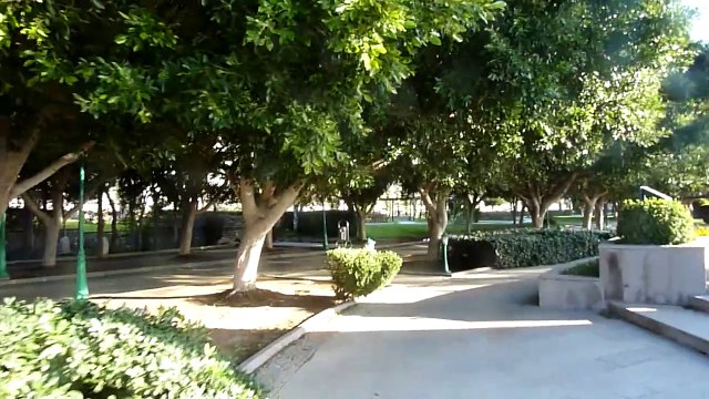 Turgutreis-2019.02.01