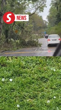 Freak hailstorm hits Shah Alam, fallen trees cause traffic disruptions
