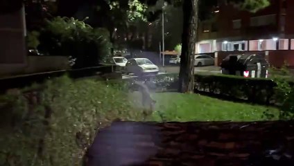 Lo schianto degli alberi