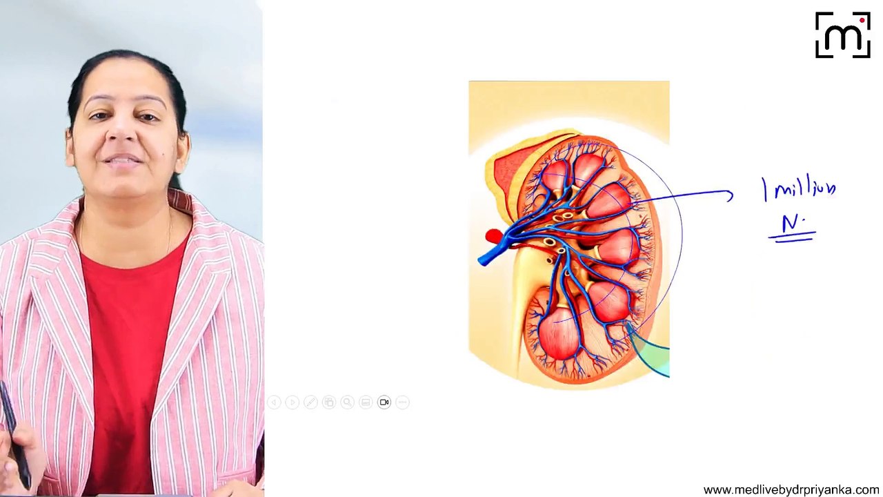 9. Polycystic Kidney Disease (PKD)