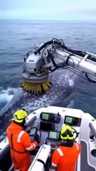 Station de lavage pour baleine... incroyable