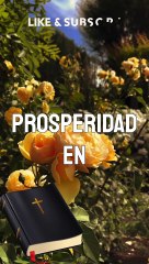 frases cristinas / datos curiosos / amor / ( Jorge montes )