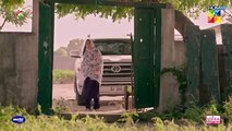 Qarz e Jaan Ep 20 [CC] 9th Mar 25 Sponsored By Vim, Master Paints, Ujooba Beauty Cream HUM TV