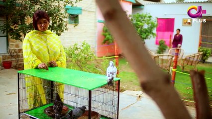 Rishtay Kachay Dhagoon Se - Episode 3 A Plus Entertainment