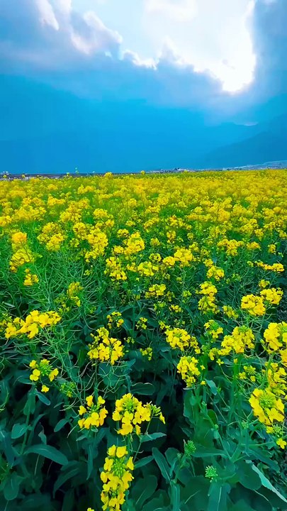 🌍 Mind-Blowing Places You Must See! 😍 | Most Beautiful Places in the World 🌟#nature #explore #travel #adventure