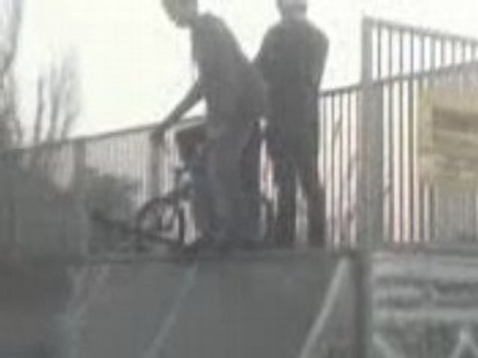 Olli sur mini table and drop