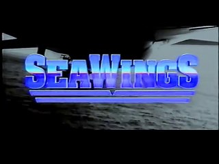 SeaWings (10/11) : Super Etendard - The Falkland Surprise