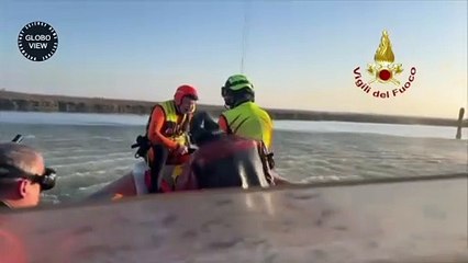 Venice: woman dies after collision between boat and briccola