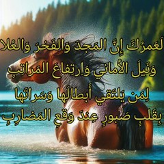 أحن إلى ضرب السيوف القواضب،  عنترة بن شداد العبسي