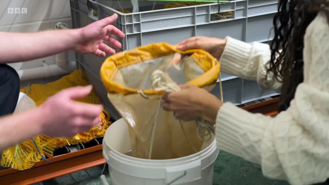 Countryfile - Kielder Forest