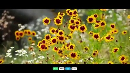 খালা-ভাগ্নির রমজানের নতুন নাশিদ - সিয়ামের ফুল💐| @NusratZerin | @HumayraAfrinEra | Siyamer Ful