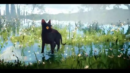 Flow Movie - Behind the Scenes - Inside the Making of Flow