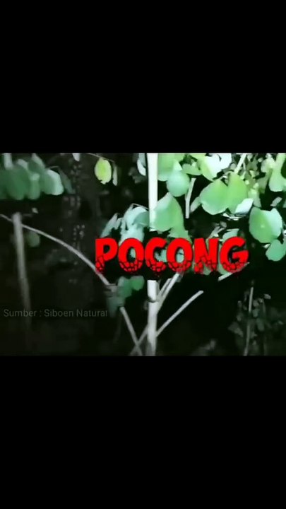 Cuplikan Penampakan Penampakan Hantu Atau Setan Ngeri Banget