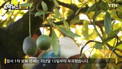 [자막뉴스] 번지는 '관세 불길'...판 커지는 美·中 전쟁 / YTN