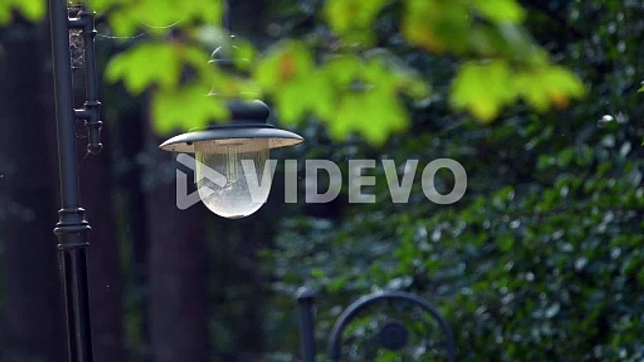 Close-up of a vintage street lamp with lush green foliage in soft focus background, daylight
