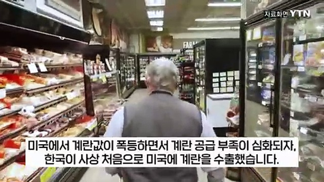 한국에 도움 손길 요청한 美...걷잡을 수 없이 심각한 '계란 파동' [지금이뉴스] / YTN