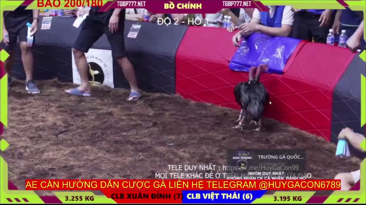 Cúp mini FC Xuân Đỉnh - FC Việt Thái (Hồ 1)