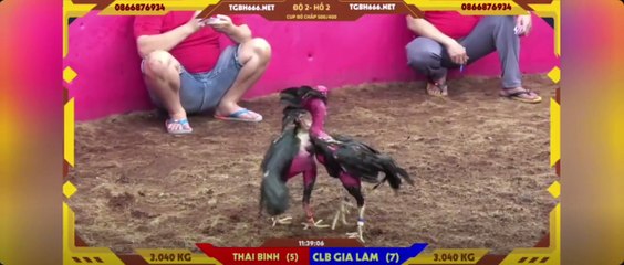 Siêu cúp 500-400  Khải Râu Thái Bình - FC Gia Lâm (Hồ 2)