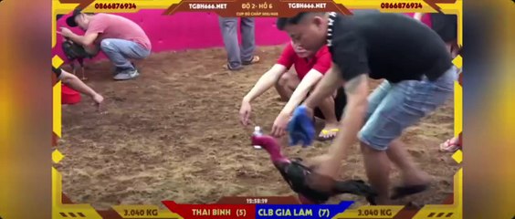 Siêu cúp 500-400  Khải Râu Thái Bình - FC Gia Lâm (Hồ 6)