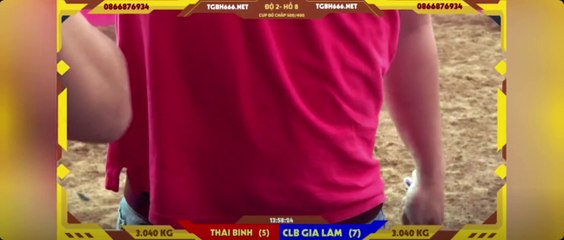 Siêu cúp 500-400  Khải Râu Thái Bình - FC Gia Lâm (Hồ 8)