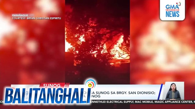 Nasa 8 bahay, natupok sa sunog sa Brgy. San Dionisio; 6 na aso, namatay sa sunog | Balitanghali