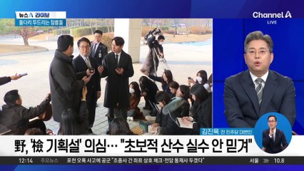 野 사퇴 요구에…심우정 “사퇴·탄핵 사유 안 돼”