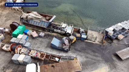 Federal government delays decision on controversial Tasmania wind farm until after election