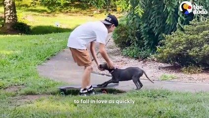 Boy Begs His Mom To Keep The Dog They Rescued From The Street