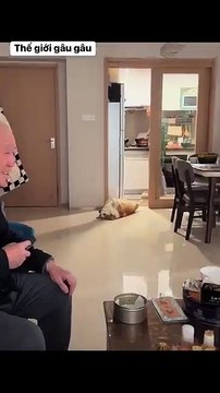 Going to work tomorrow Monday? Does the car still have gas? Does Mai have a lover? What should I eat tomorrow? Oh my head hurts