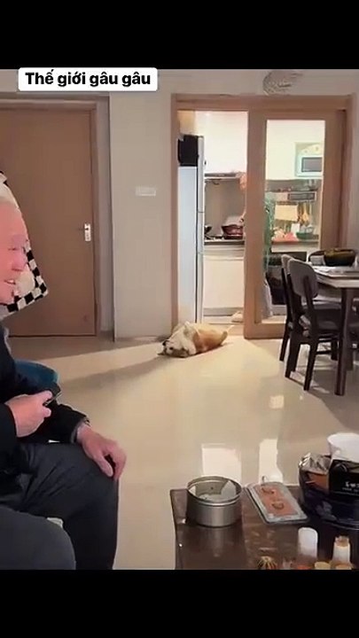 Going to work tomorrow Monday? Does the car still have gas? Does Mai have a lover? What should I eat tomorrow? Oh my head hurts