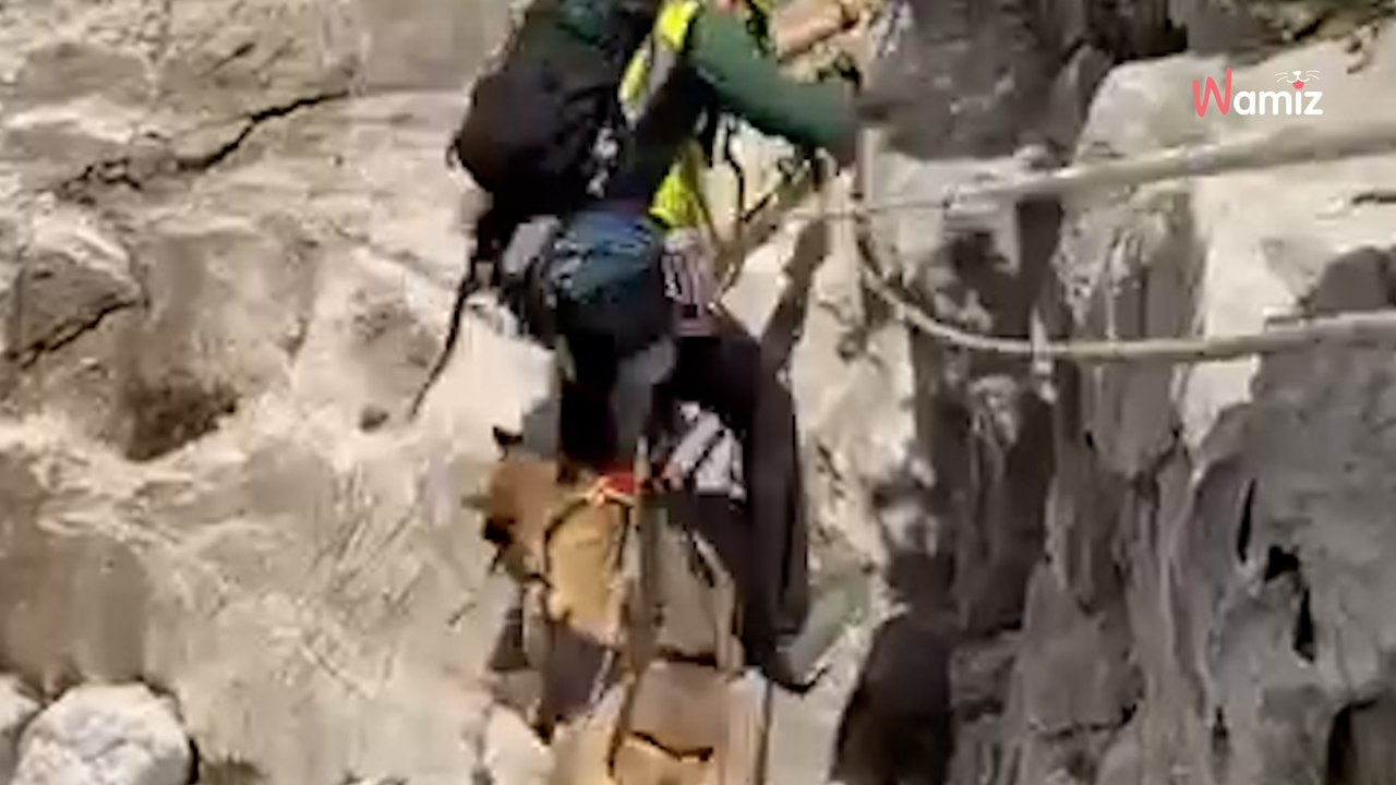 Rescate de alto riesgo: la Guardia Civil escala 50 metros para salvar a dos perros en Valencia (Vídeo)