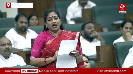 హోం బడ్జెట్ గ్రాంట్లపై అసెంబ్లీలో మంత్రి అనిత వివర