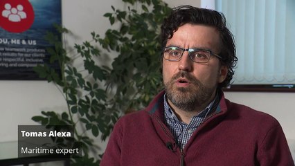 Maritime Expert Warns of Severe Environmental Risks from Recent Cargo Ship Collision 🌊