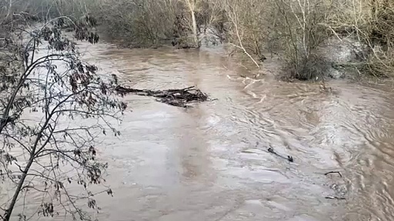 Crecida del río Henares a su paso por Guadalajara.